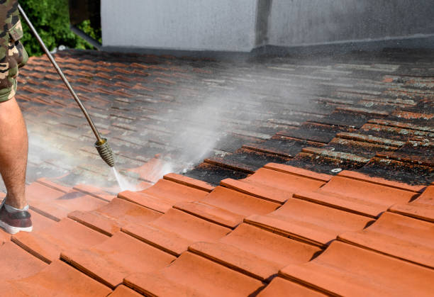 Best Pressure Washing Near Me  in Loyola, CA