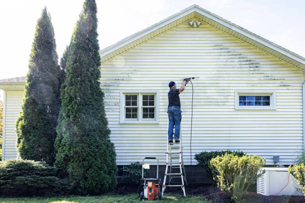 Best Affordable Pressure Washing  in Loyola, CA