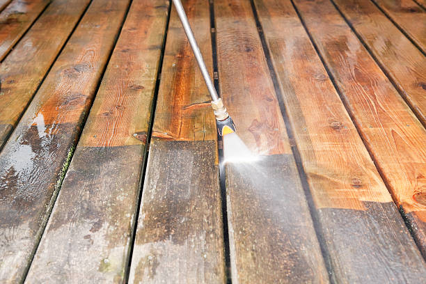Best House Pressure Washing  in Loyola, CA