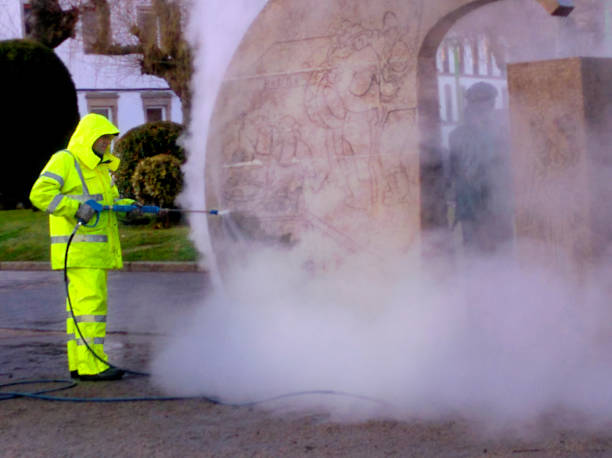 Best Roof Pressure Washing  in Loyola, CA